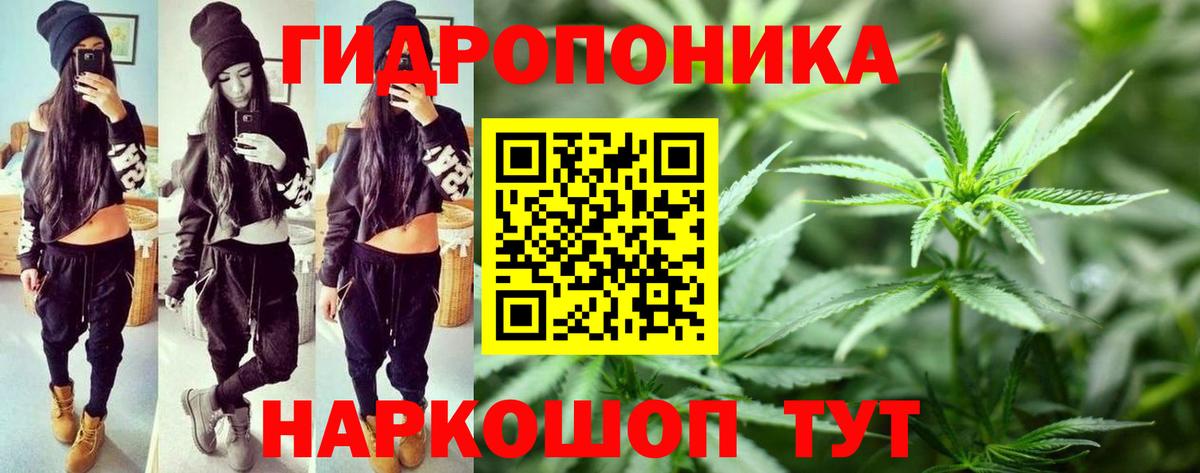 Россошь  Марихуана Amnesia  Вход с VPN  Каннабис сатива  Бошки Шишки Bruce Banner  Бошки Шишки Ganja 